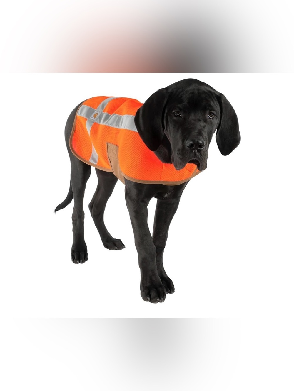 Carhartt High-Visibility Orange Reflective Dog Vest